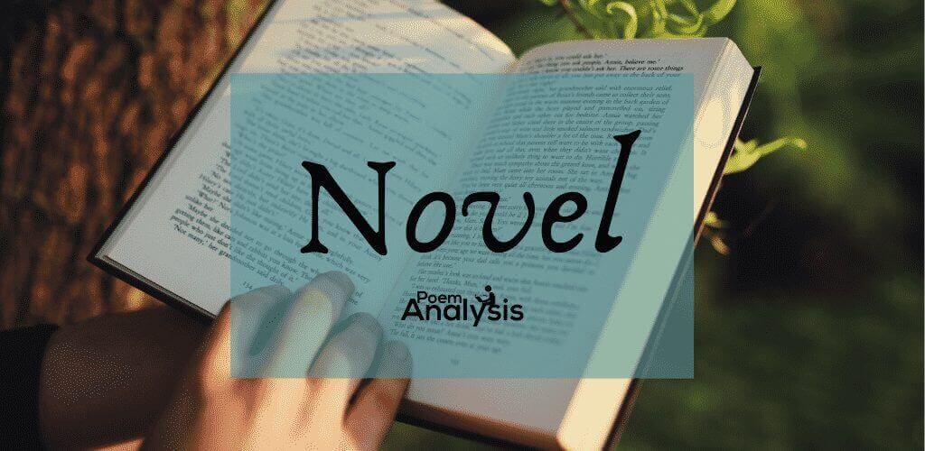 Novel definition and meaning