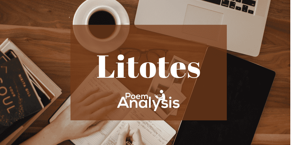 Litotes definition and examples