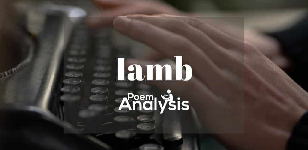 Iamb definition and examples