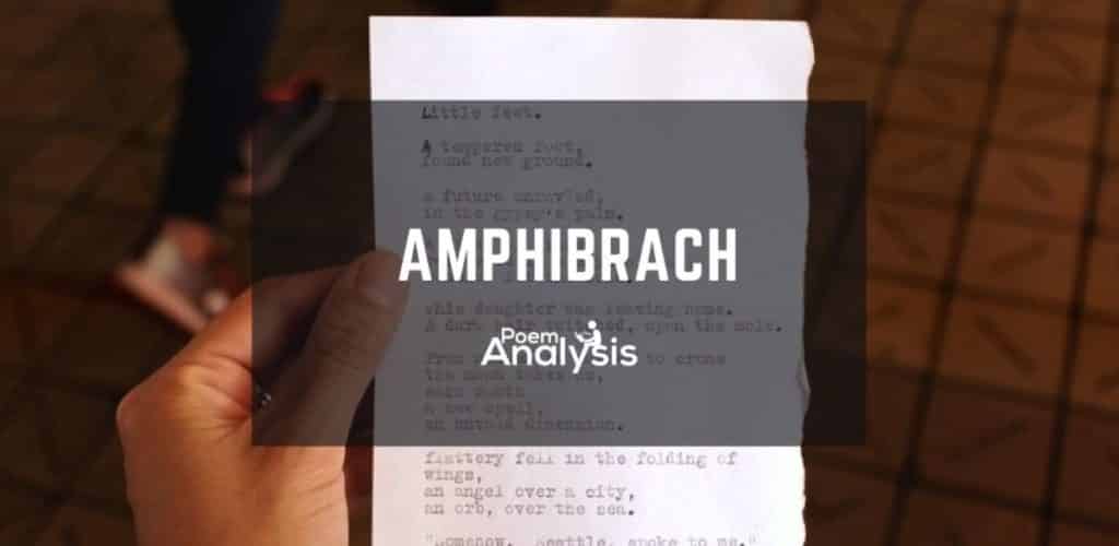 Amphibrach definition and examples