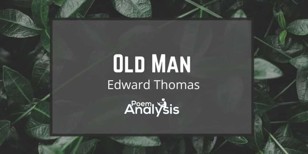 Old Man by Edward Thomas - Poem Analysis